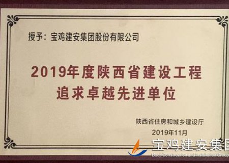 2019年度陜西省建設(shè)工程追求卓越先進單位